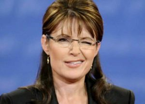 palin wink