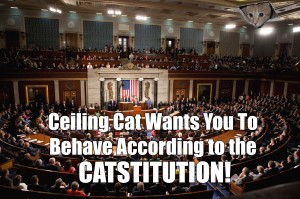 ceiling cat behave