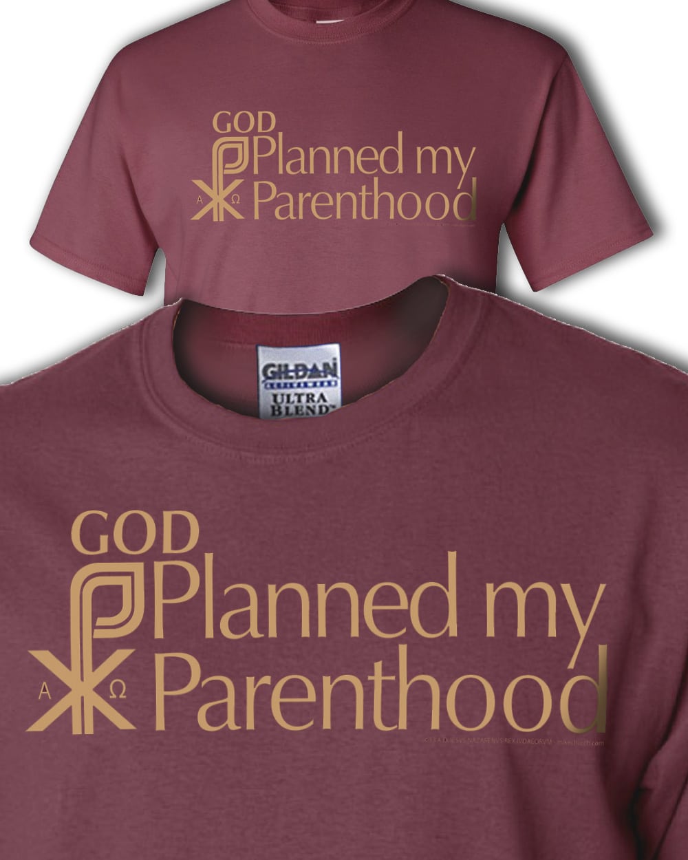 God planned my parenthood t-shirt