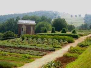 Monticello Garden