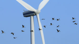 The Modern World Cannot Be Powered By Windmills