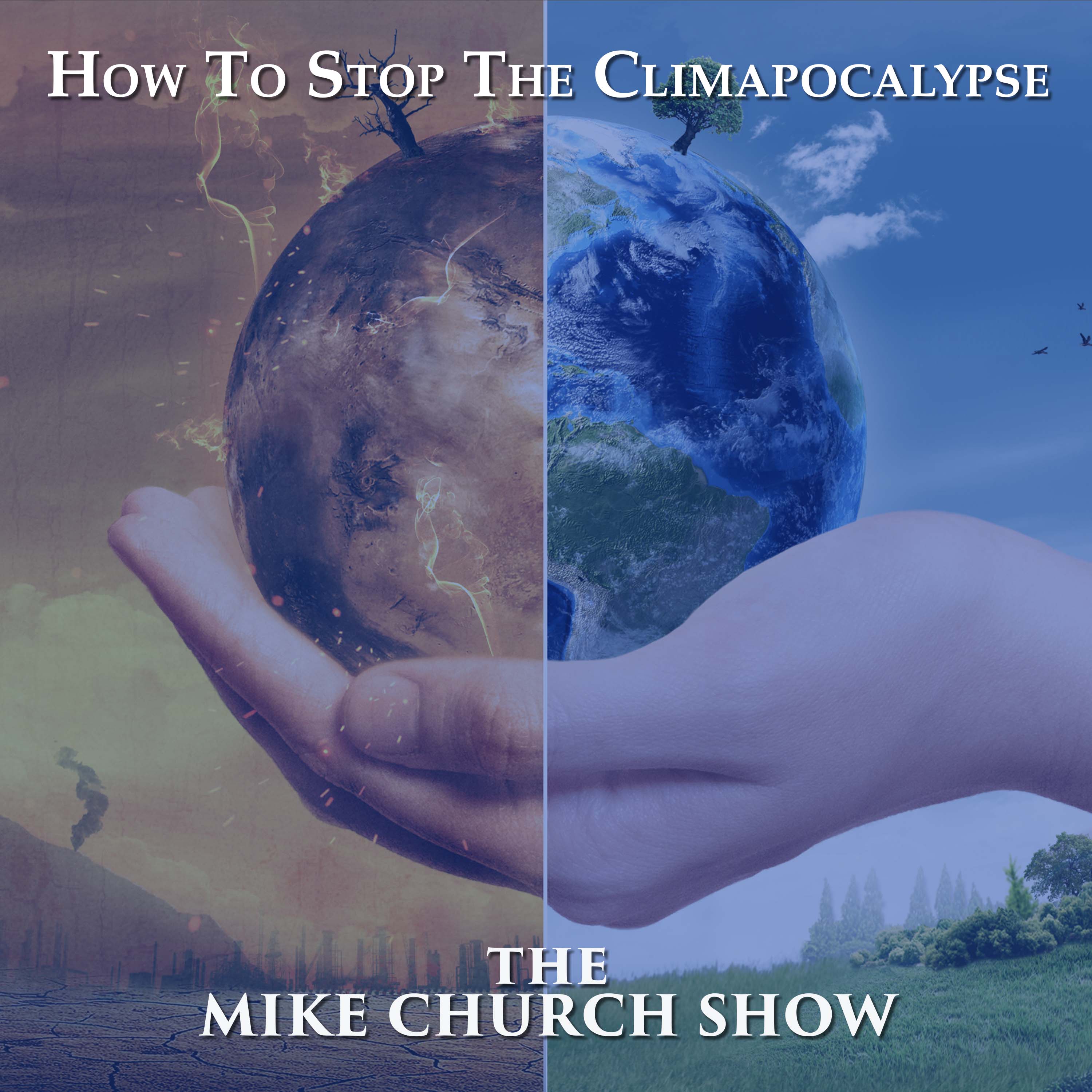 How Coronapocalypse Happened & What To Do To Stop Climapocalypse with Laurie Calhoun